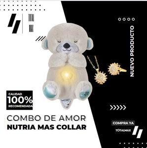 Combo Nutria Decorativa + Chocolates Artesanales – Edición Especial