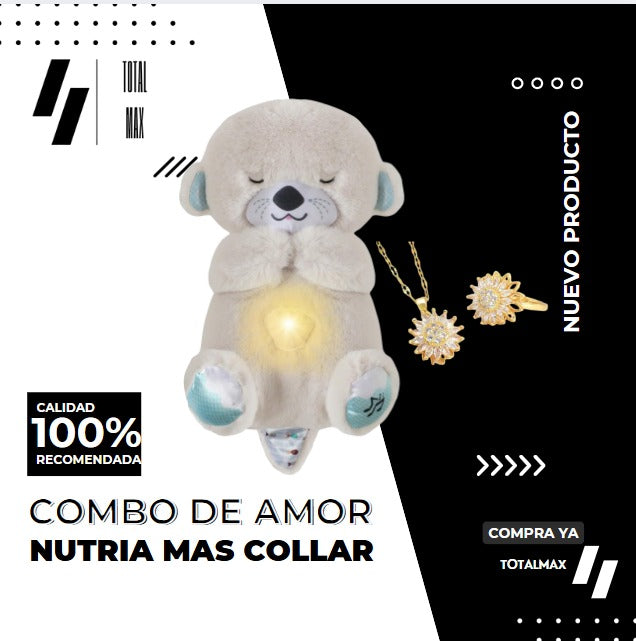 Combo Nutria Decorativa + Chocolates Artesanales – Edición Especial